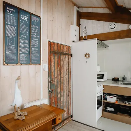 Le Cabanon Dore, Et Nature Chez Ivona Le Teich