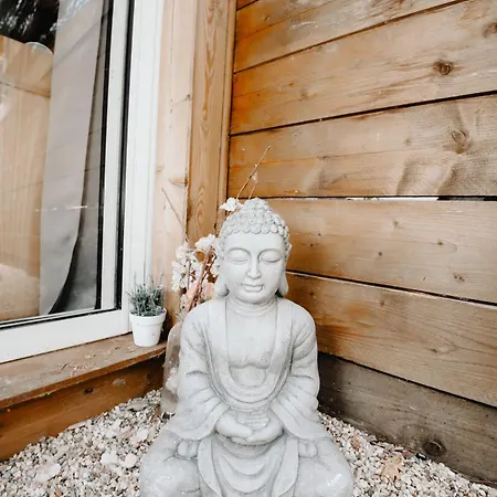 Chalet Le Cabanon Dore, Et Nature Chez Ivona